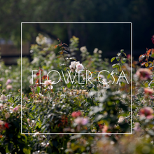 Load image into Gallery viewer, 2026 A Year of Flowers CSA (16 Week Subscription)