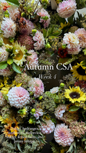 Load image into Gallery viewer, Autumn CSA