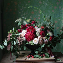 Load image into Gallery viewer, Dahlia, Cornel