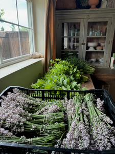 Summer CSA