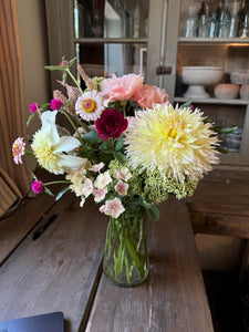 Dahlia, Citron du Cap