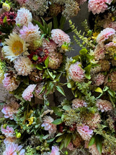 Load image into Gallery viewer, Dahlia, Sweet Nathalie