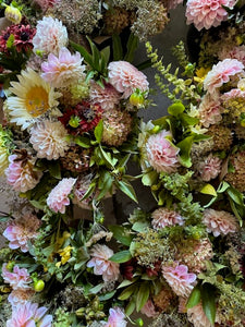 Dahlia, Sweet Nathalie