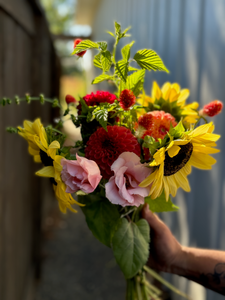 Autumn CSA