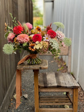 Load image into Gallery viewer, Dahlia, Zundert Mystery Fox