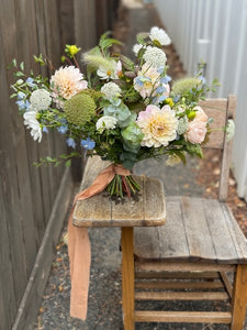 Dahlia, Sweet Nathalie