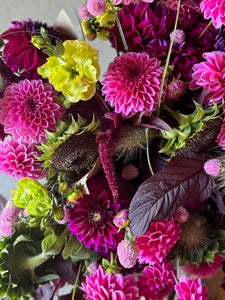 Dahlia, Jowey Frambo