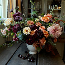 Load image into Gallery viewer, Dahlia, Embassy