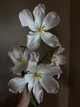 Load image into Gallery viewer, Love, Nature: A Valentine&#39;s Day Weekend Writing Retreat