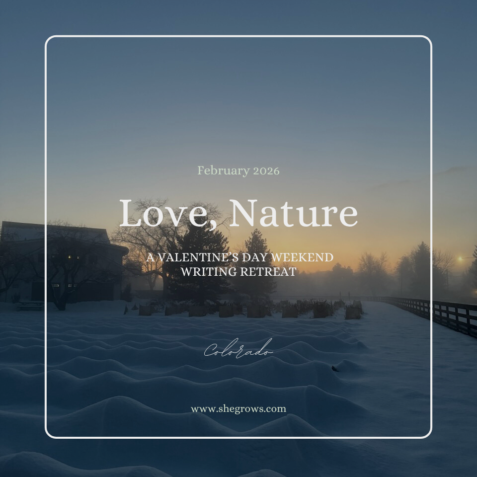 Love, Nature: A Valentine's Day Weekend Writing Retreat