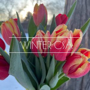 Winter CSA - e-Gift