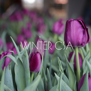Winter CSA, 3 Weeks - e-Gift