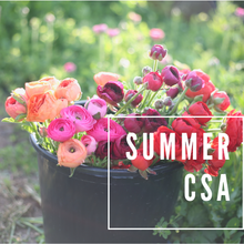 Load image into Gallery viewer, Summer CSA - GIFT